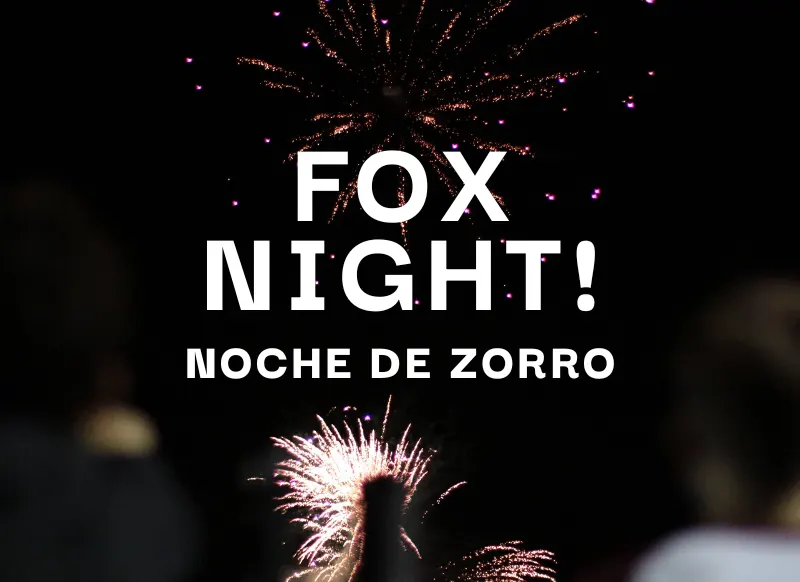 "Fox Night" text in white against a black background with fireworks